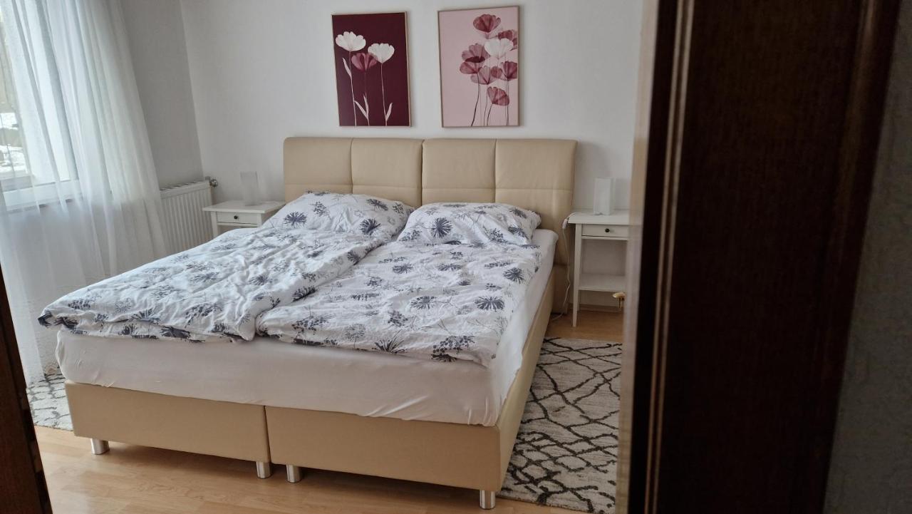 Ferienwohnung Edeltraud, Fusslaeufig Zum See Und 20 Minuten Vom Skigebiet Entfernt Dobriach Exterior photo